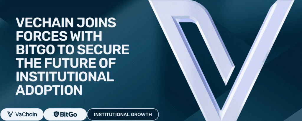 vechain